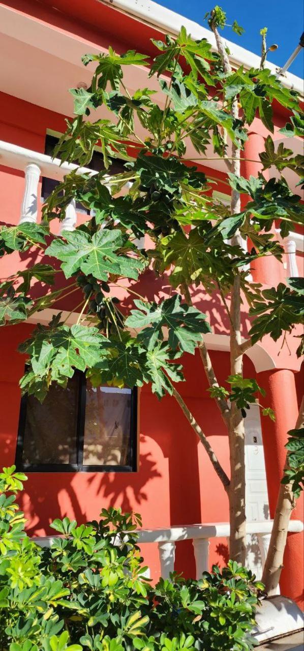 Villa Kiki Ensenada Punta Rucia Luaran gambar
