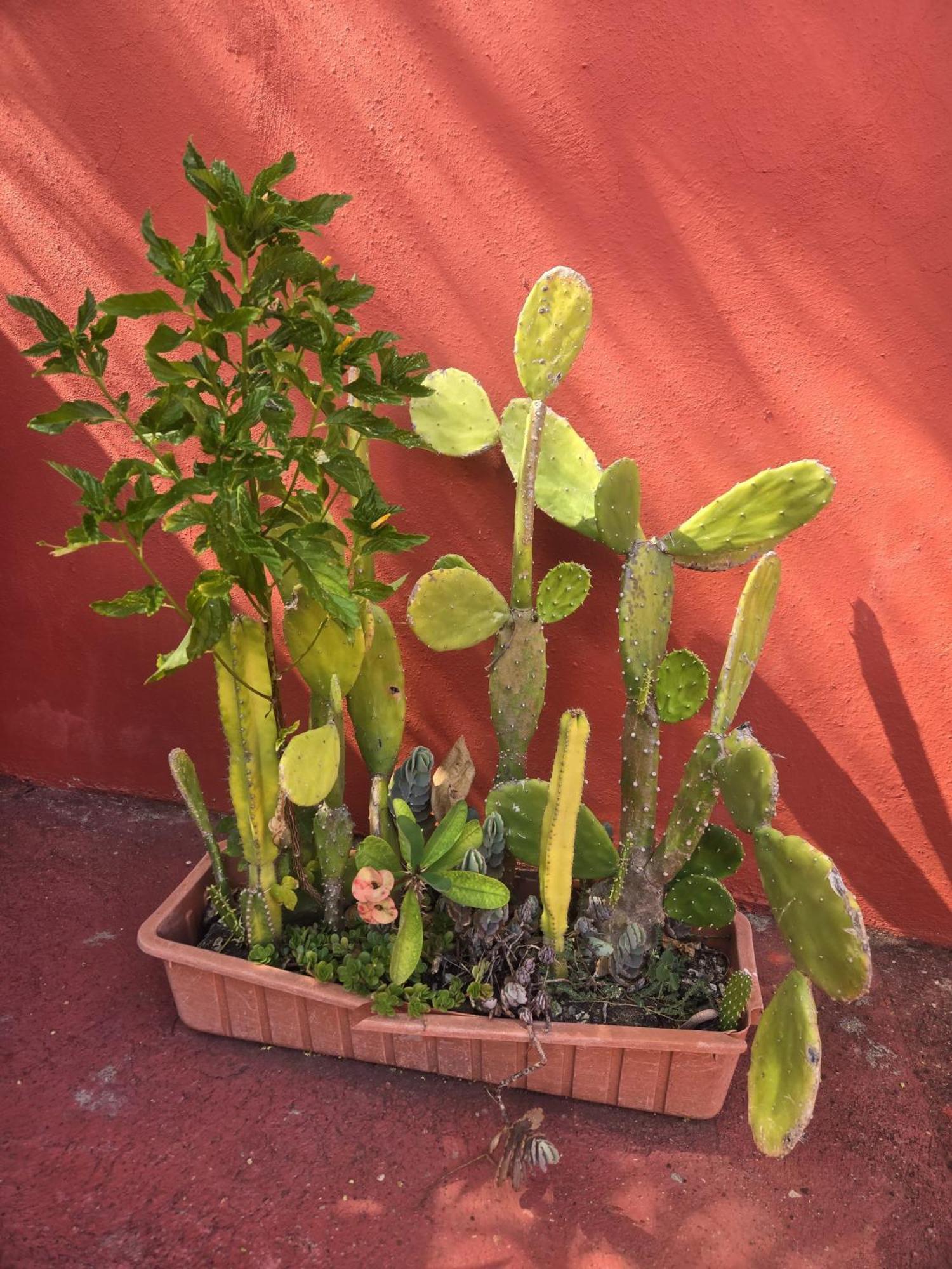 Villa Kiki Ensenada Punta Rucia Luaran gambar